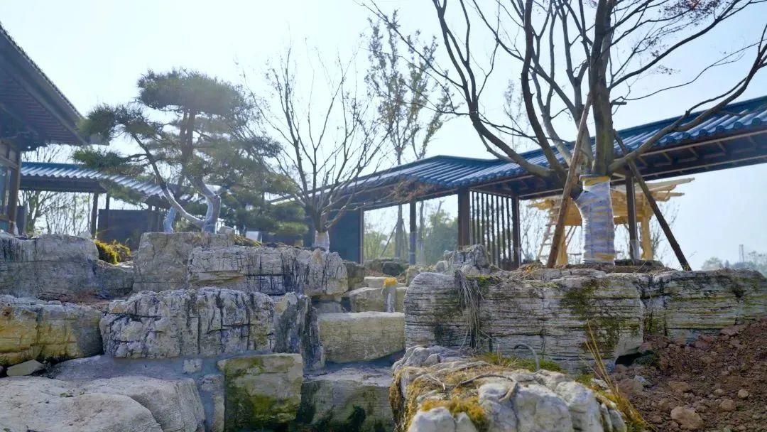 成都世园会主会场首批展园已基本呈现! 成都世园会主会场首批展园已基本呈现!