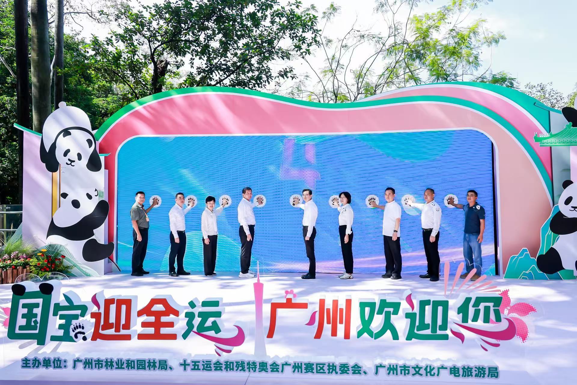 ������5�á�һֻ����è�����ݶ���԰�´���è����ʽ����