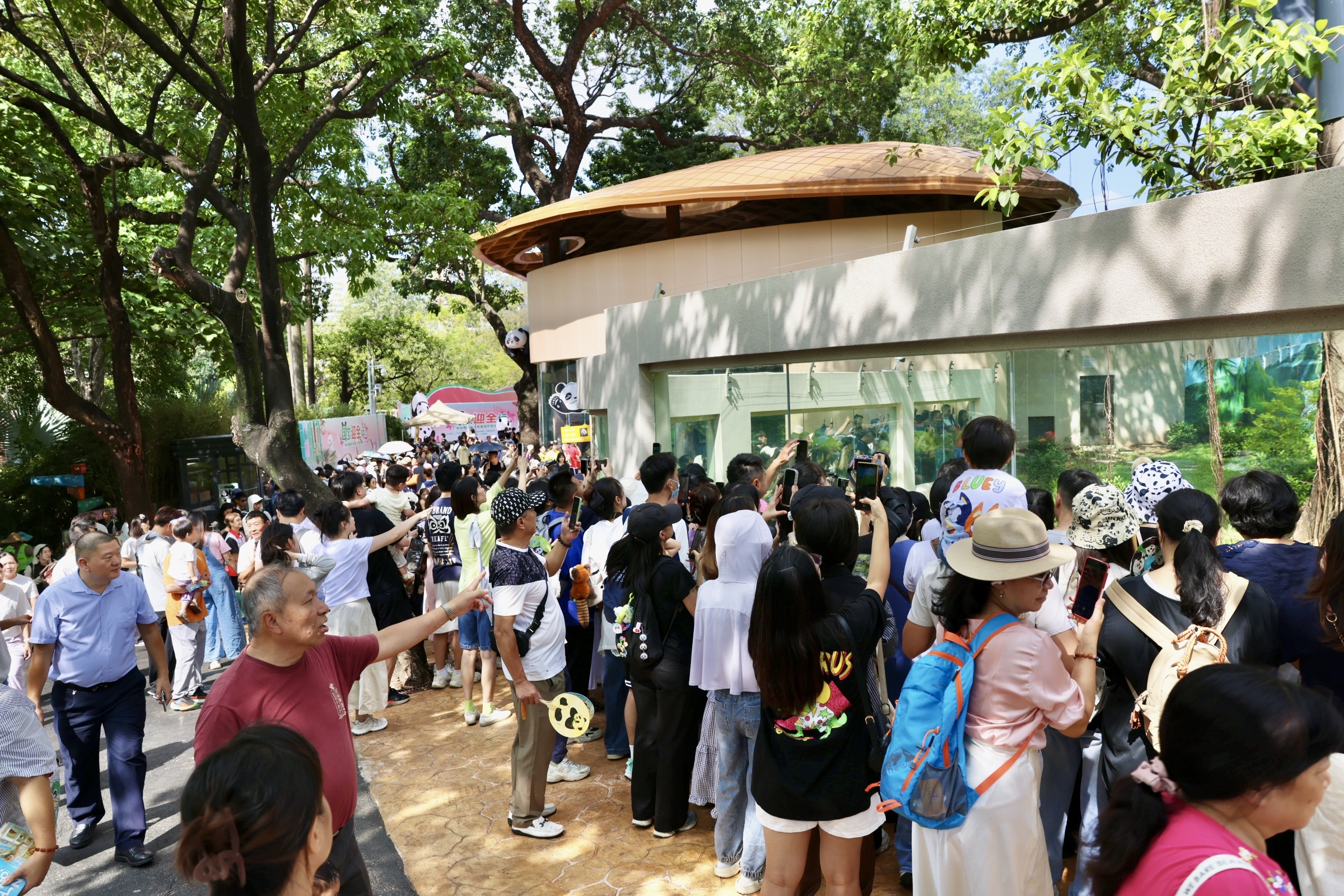 ������5�á�һֻ����è�����ݶ���԰�´���è����ʽ����