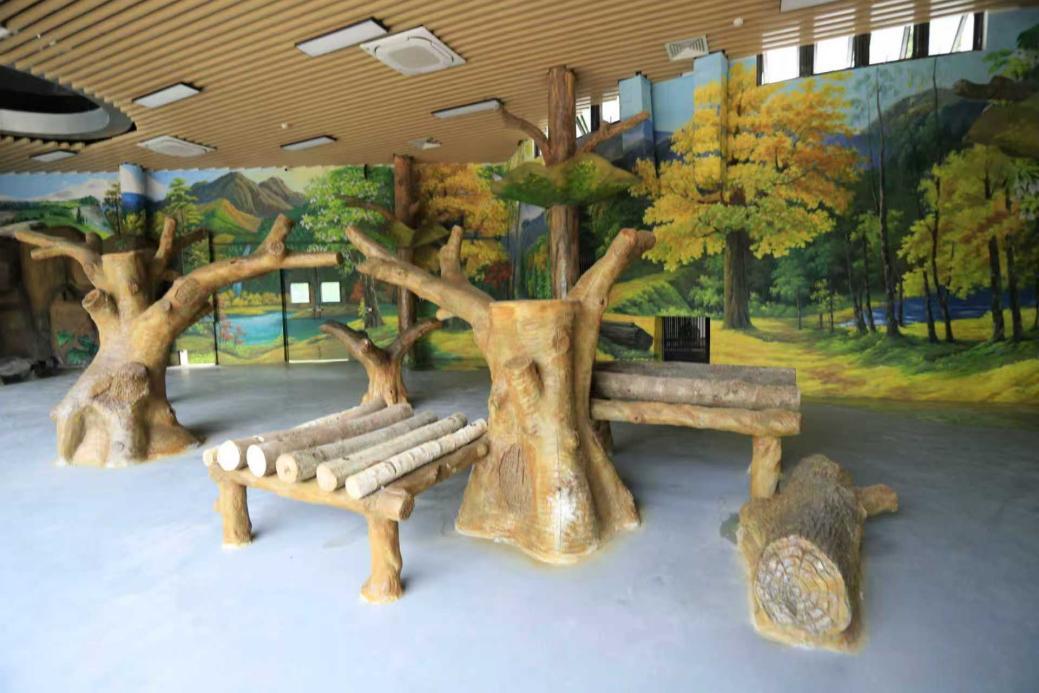 ������5�á�һֻ����è�����ݶ���԰�´���è����ʽ����