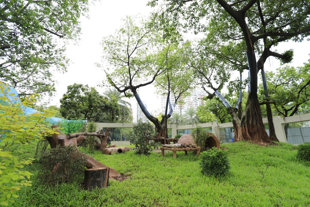 ������5�á�һֻ����è�����ݶ���԰�´���è����ʽ����