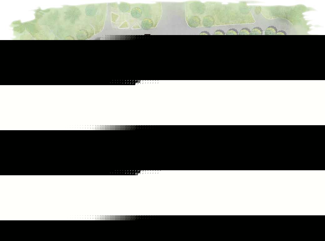 ������5�á�һֻ����è�����ݶ���԰�´���è����ʽ����