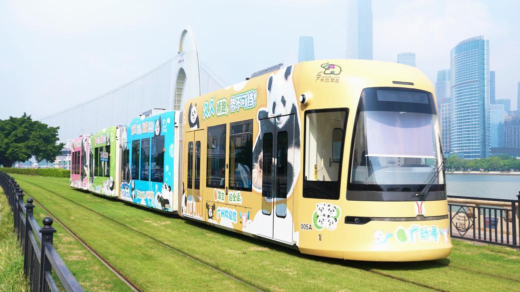 ������5�á�һֻ����è�����ݶ���԰�´���è����ʽ����