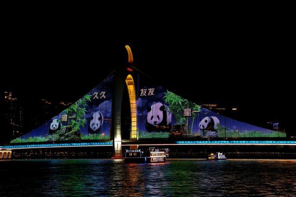 ������5�á�һֻ����è�����ݶ���԰�´���è����ʽ����